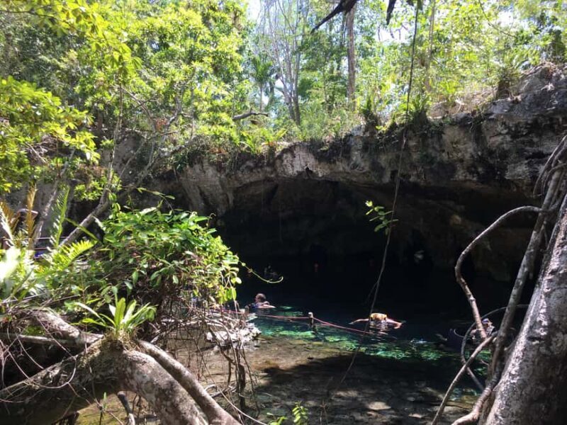 Private: Bayahibe: Jungle Walk and Cenote Snorkeling Tour - FAQ: Your Top Questions Answered