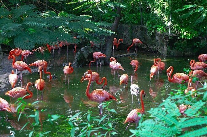 Private Beach Day/Guided TourThrough New Providence Island - A Detailed Look at What This Tour Offers