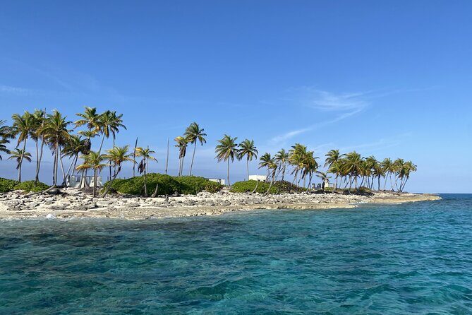 Private Beach Day Snorkeling and Swimming with Pig in Rose Island - An Introduction to a Truly Unique Bahamas Experience