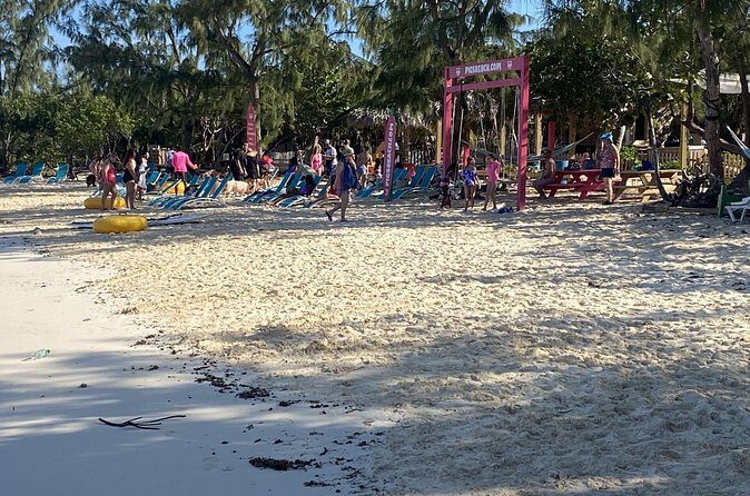 Private Beach Day Snorkeling and Swimming with Pig in Rose Island - Practical Tips for Booking and Enjoying Your Day