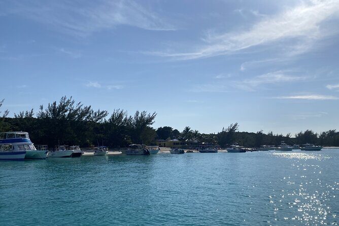 Private Beach Day Snorkeling and Swimming with Pig in Rose Island - The Sum Up: Who Will Love This Experience?