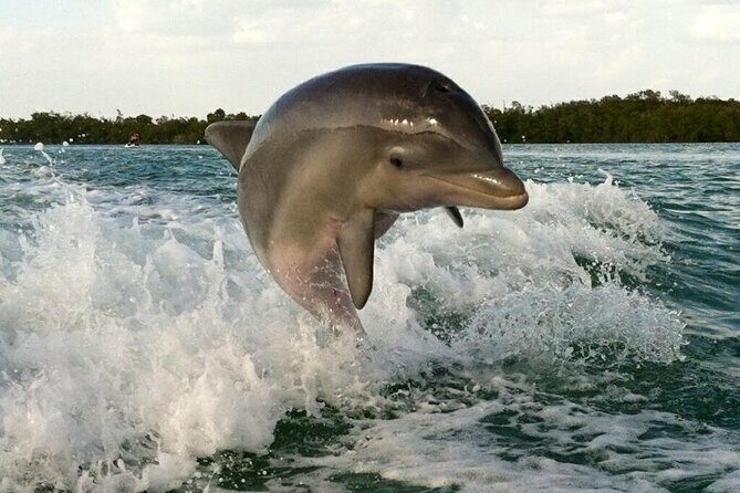 Private Beach or Sunset Boat Tour In Naples Florida - Who Will Love This Tour?