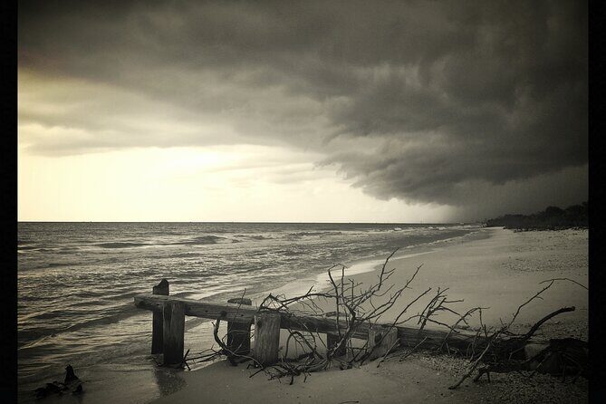 Private Beach or Sunset Boat Tour In Naples Florida - Final Thoughts