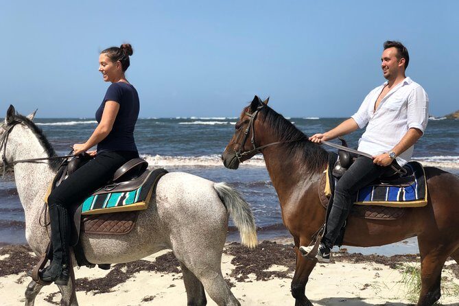 Private Beach Picnic Horseback Ride with Sandy Hoofs St. Lucia - The Practical Side: Whats Included & What to Expect