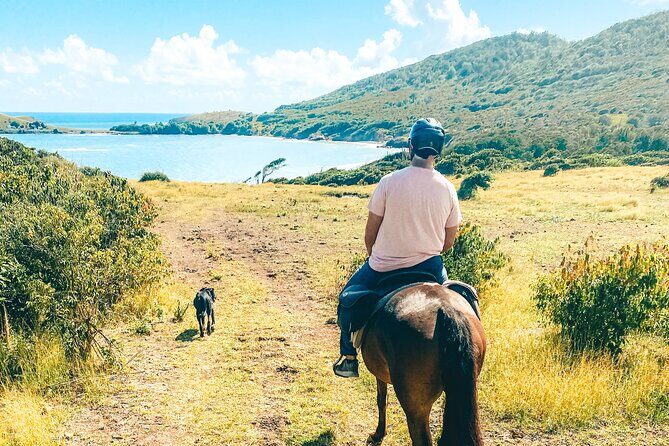 Private Beach Picnic Horseback Ride with Sandy Hoofs St. Lucia - FAQ