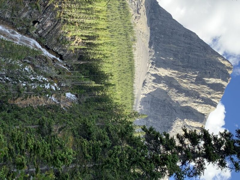 PRIVATE: Bear Country Hiking Tour - 4H Adventure - Final Thoughts