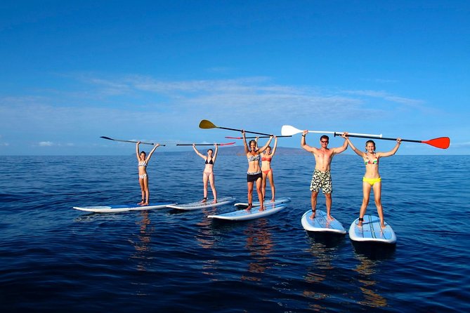 Private Beginner Paddleboard 101 Lesson- Polo Beach, Turtle Town! - Meeting Point Information