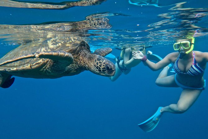 Private Beginner Paddleboard Lesson With Snorkel in Turtle Town! - Safety Considerations