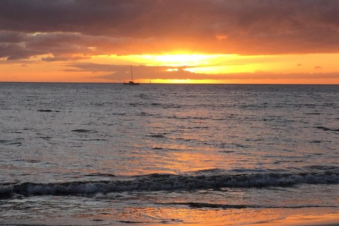 Private Beginner Paddleboard Lesson With Snorkel in Turtle Town! - Customer Experiences