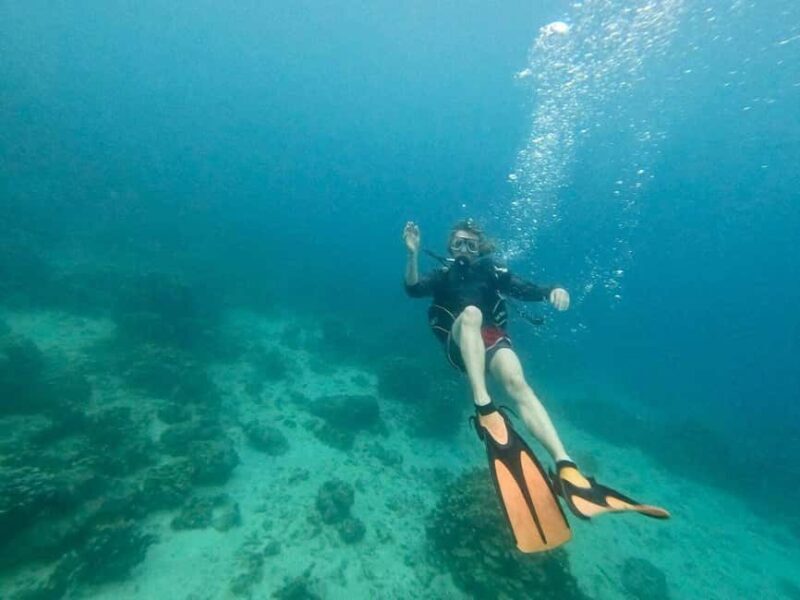 Private: Beginner Scuba Dive in Bávaro: 30-Minute Reef Dive - Final Thoughts: Who Should Consider This Tour?