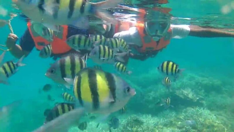 Private: Beginner Scuba Dive in Bávaro: 30-Minute Reef Dive - Frequently Asked Questions