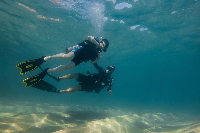 Private Beginner Scuba Diving Experience in Cabo San Lucas - Meeting Location