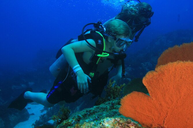 Private Beginner Scuba Diving Experience in Cabo San Lucas - Accessibility Features