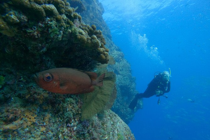 Private Beginner Scuba Diving Experience in Cabo San Lucas - Cancellation Policy