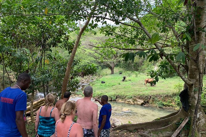Private Benta River Excursion From Montego Bay - About the Benta River