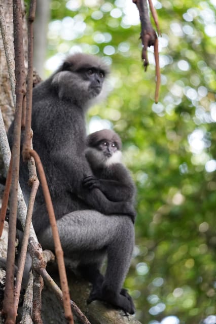 Private Bentota River Safari Tour With Pickup - Experience Highlights