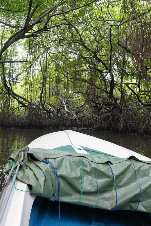 Private Bentota River Safari Tour With Pickup - Important Information