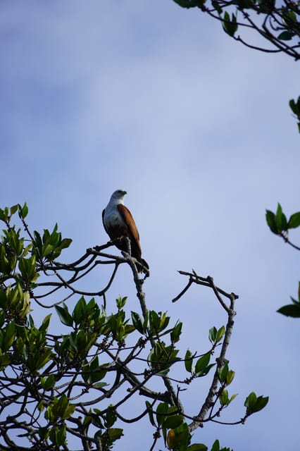 Private Bentota River Safari Tour With Pickup - Cancellation Policy