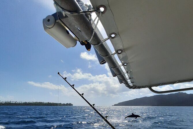 Private Big Game Fishing Tour in Raiatea - An Honest Look at the Private Big Game Fishing Tour in Raiatea