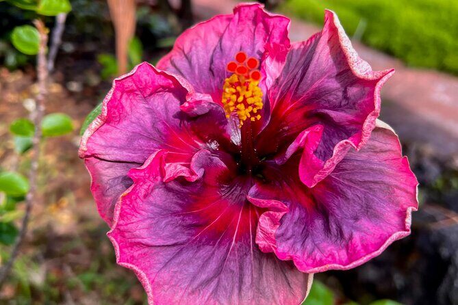 Private Big Island: History & Local Market Tour (Up to 12) - An In-Depth Review of the Experience