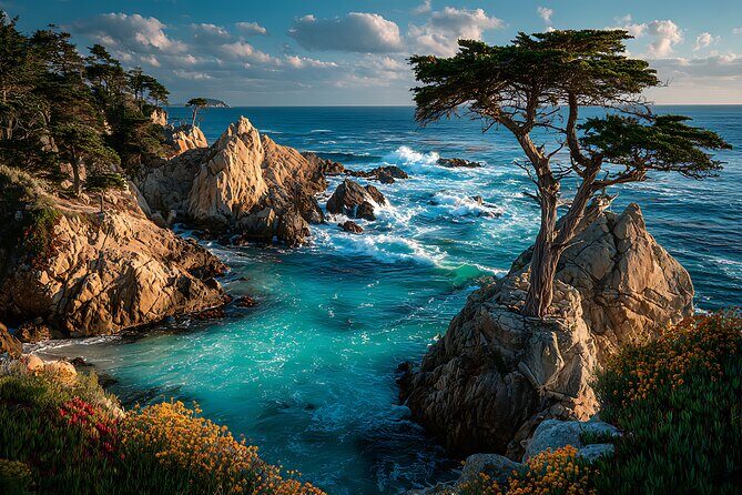 Private Big Sur and Carmel Scenic Drive from San Jose - An In-Depth Look at the Private Big Sur and Carmel Scenic Drive