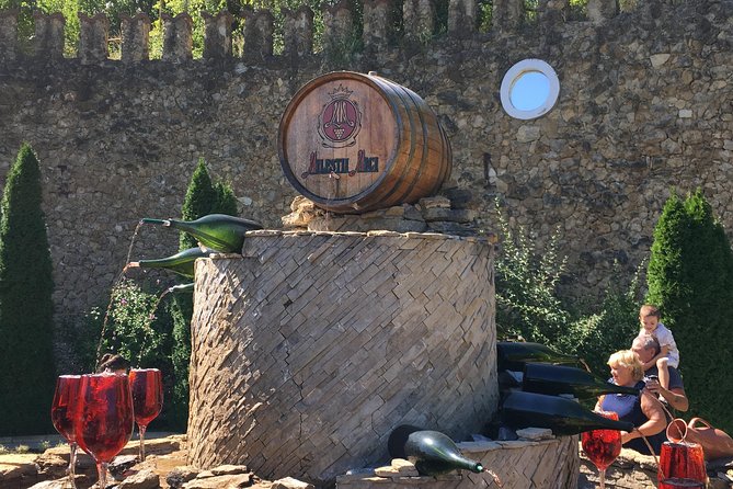 Private Bike Tour to Milestii Mici Winery With Wine Tasting and Lunch - Group Size and Pricing
