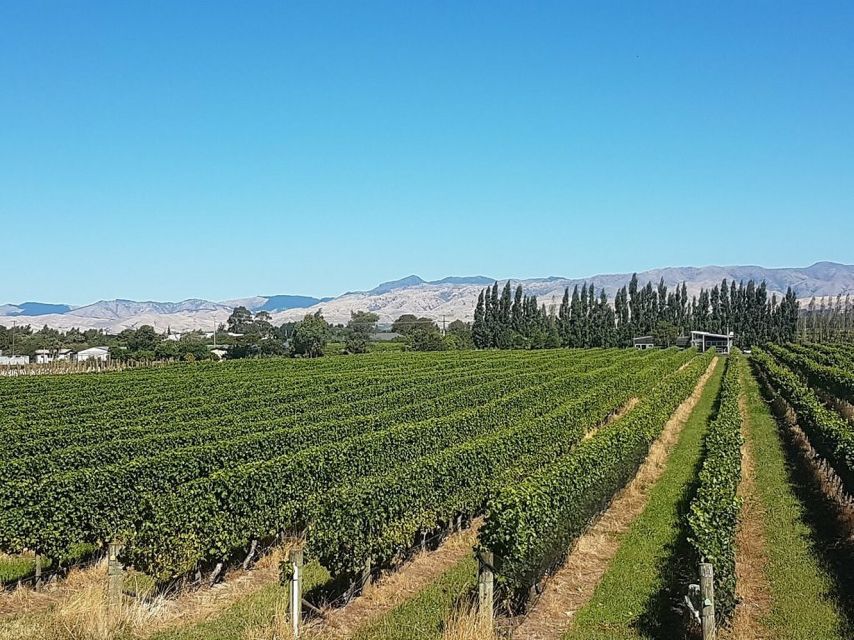 Private Biking Wine Tour (Full Day) Marlborough Region - Booking Information
