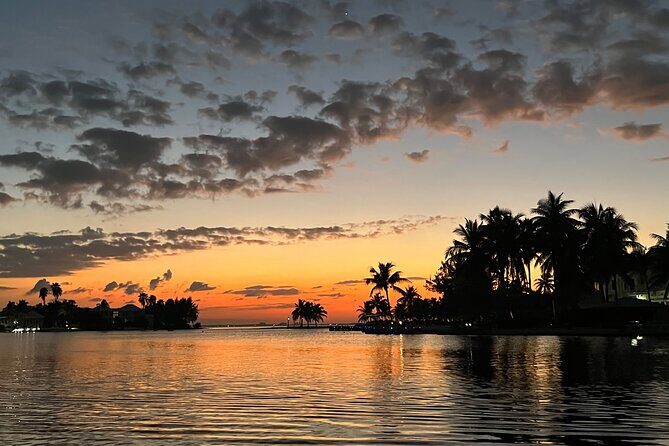 Private: Bioluminescence Tour - Practical Details and Tips