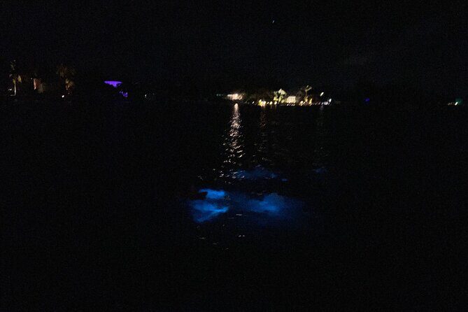 Private: Bioluminescence Tour - FAQ