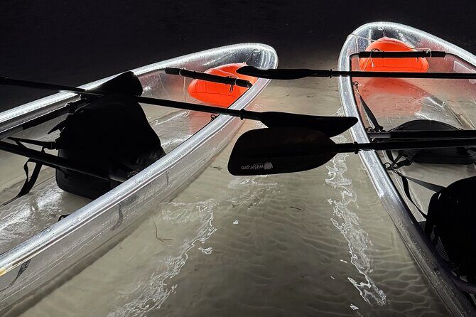 Private Bioluminescence Tour by clear Kayak in Holbox - What to Expect on This Bioluminescence Kayak Tour