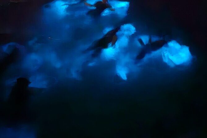 Private Bioluminescence Tour in Grand Cayman - Frequently Asked Questions