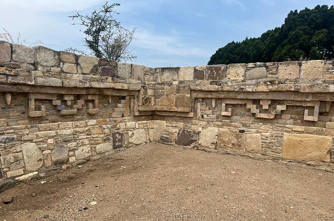 Private Bird Watching, Teotitlan Walking and Chocolate Tour - Who Will Love This Tour?