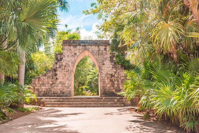 Private Birdwatching Tour with a Guide in Cozumel - An In-Depth Look at the Cozumel Birdwatching Tour