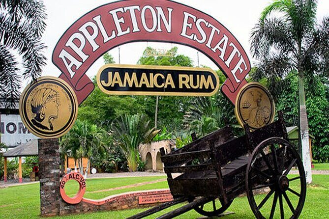 Private Black River and Appleton Rum Tour From Negril - Key Points