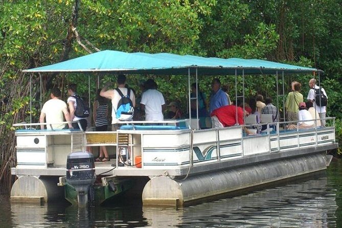 Private Black River Safari Tour from Montego Bay - Exploring the Black River: A Genuine Jamaican Experience