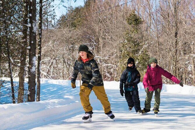 Private Blue Mountain Day Trip from Toronto - Why Choose This Tour?