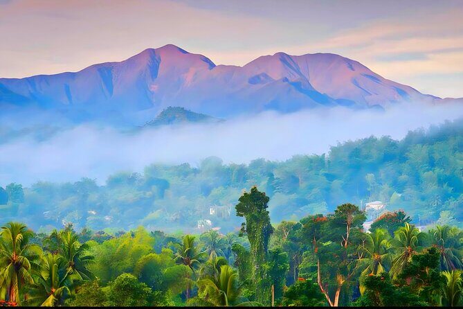 Private Blue Mountain tour from Ocho Rios - Key Points