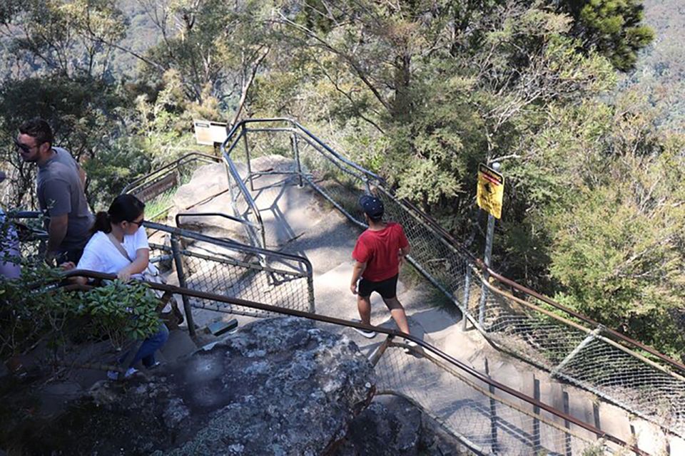 Private Blue Mountain Tour With Wildlife and River Cruise - Tour Highlights
