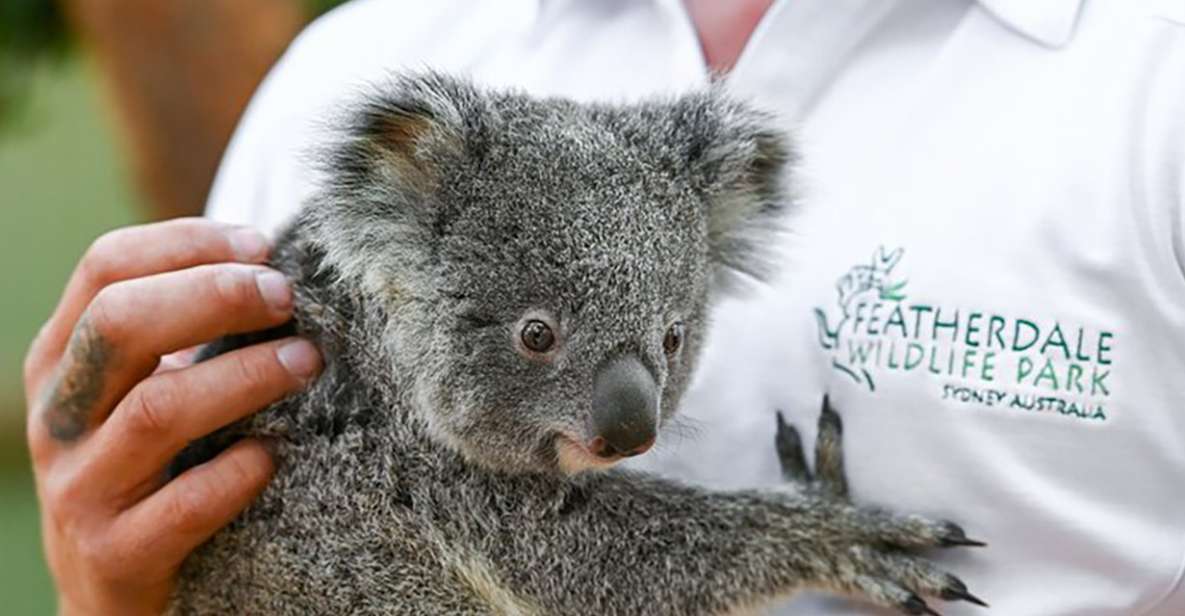 Private Blue Mountain Tour With Wildlife and River Cruise - Booking Information