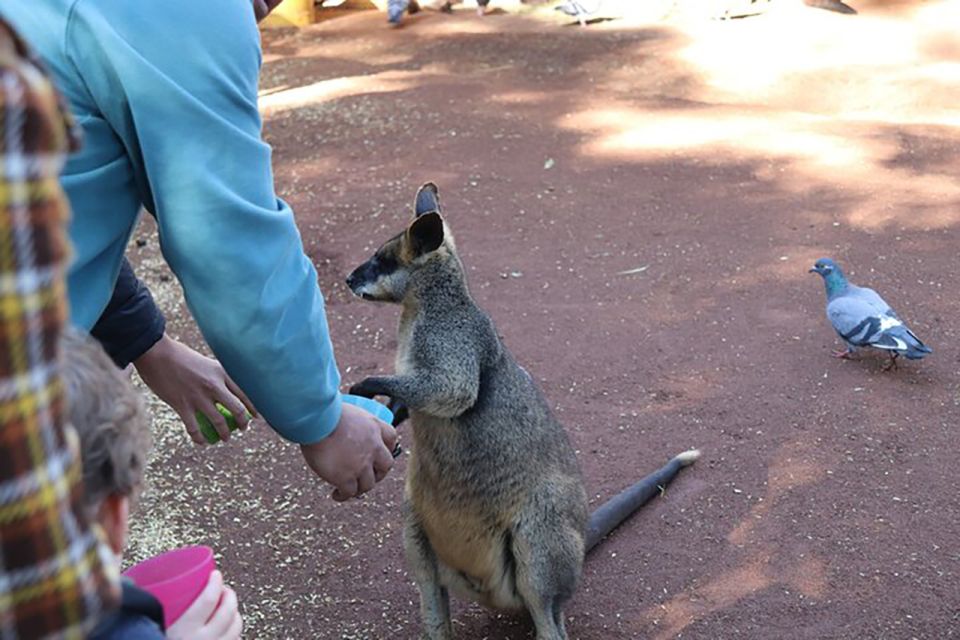 Private Blue Mountain Tour With Wildlife and River Cruise - Duration and Restrictions