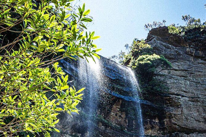 Private Blue Mountains Escape The Crowds Mercedes Tour - Who Would Love This Tour?
