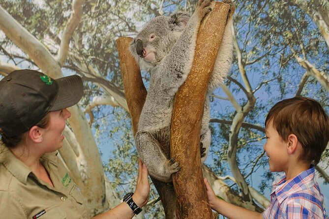 Private Blue Mountains High Country Day Trip from Sydney - Key Points