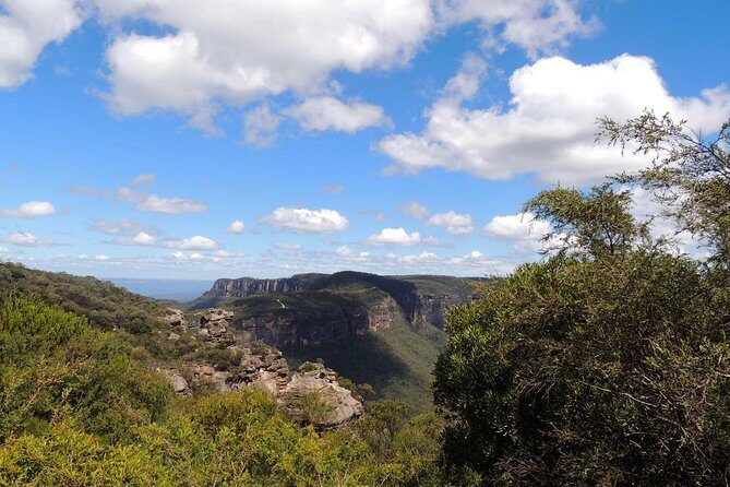 Private Blue Mountains Insider Tour from Sydney - The Experience: An In-Depth Look at the Blue Mountains Private Tour
