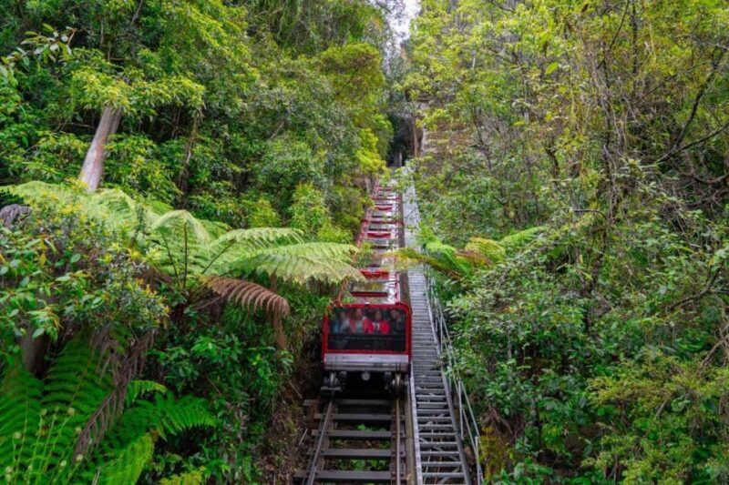 Private Blue Mountains, Scenic World & Wentworth Falls Tour - Final Thoughts