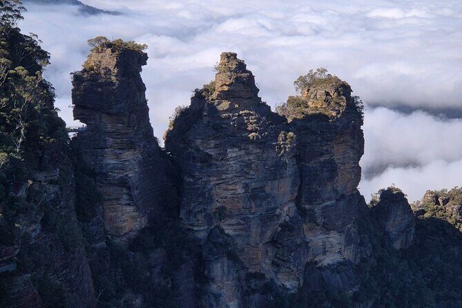 Private Blue Mountains Tour Scenic Views Wildlife and Adventure - Frequently Asked Questions