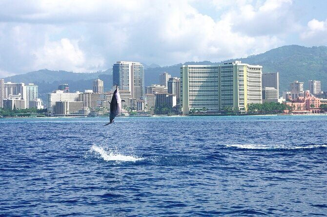 Private Boat Charter in Waikiki for Snorkeling and Events - The Experience from the Guests’ Perspective