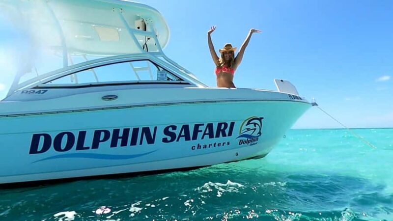 Private boat Charter Key West | Sandbar, Dolphin, Snorkeling - Who Is This Tour Best For?