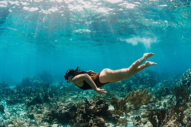 Private Boat Charter Snorkeling Stingray City or Bio Bay - Key Points