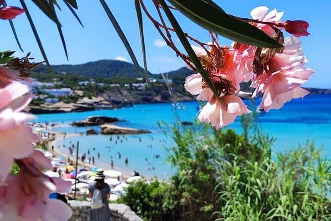 Private Boat Experience in Ibiza - Who Will Love This Experience?