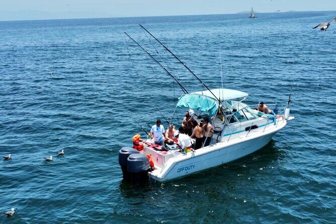 Private Boat Fishing in the Bay of Puerto Vallarta - An Honest Look at the Experience